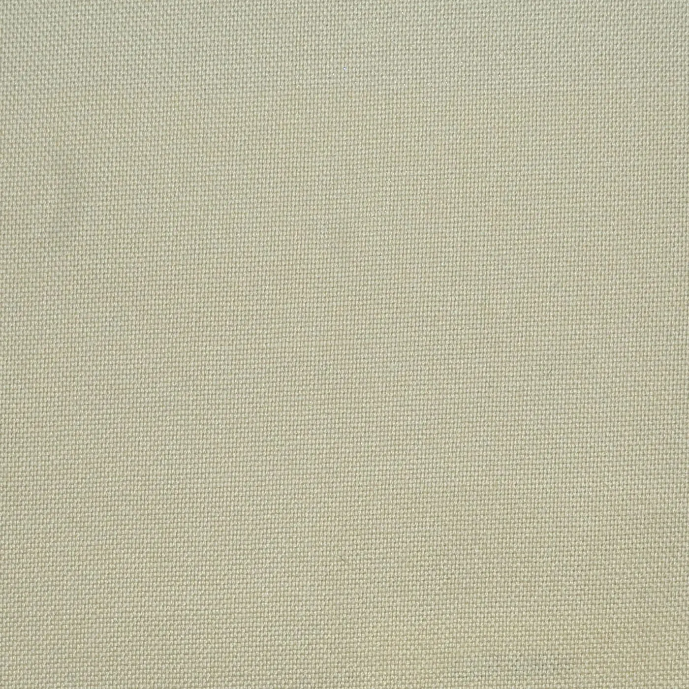 Beige Plain Oxford Cotton Shirting