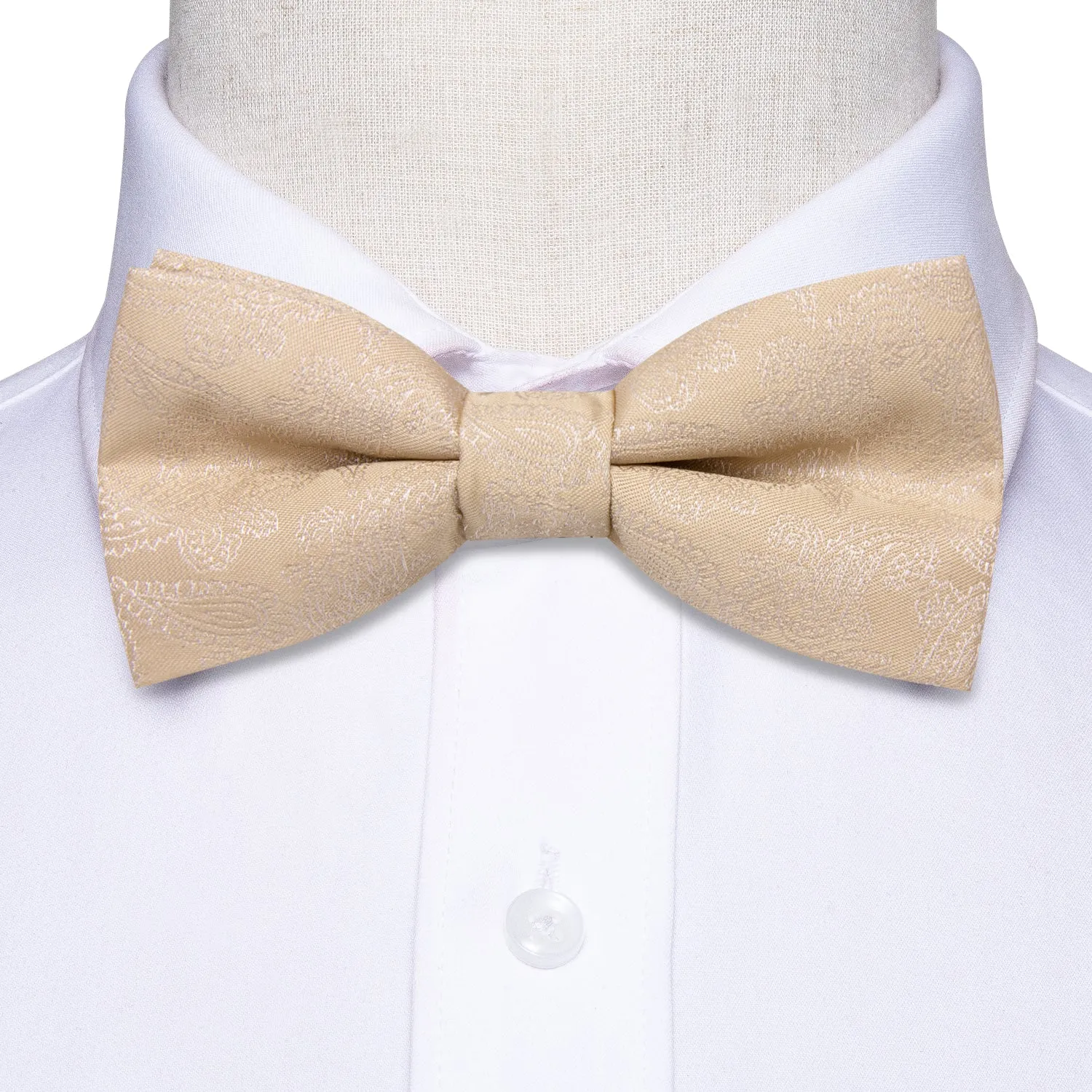 Hi-Tie Beige Necktie Paisley Kids Bow Tie Hanky Cufflinks Set